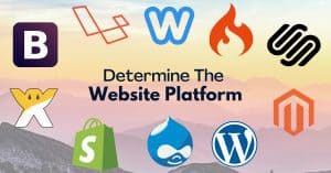 Determine the website CMS platform.